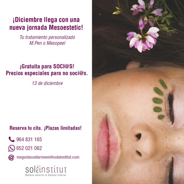 Jornada Mesostetic Diciembre
